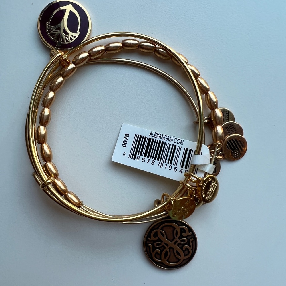 Alex and Ani gold charm bracelet, path of life holiday set, set of 3